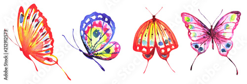 beautiful color butterflies, set, watercolor,  isolated  on a white © aboard