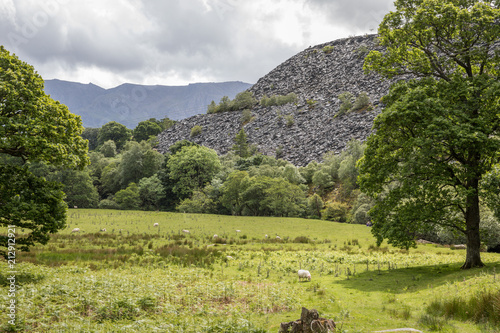 Snowdonia - Wales photo