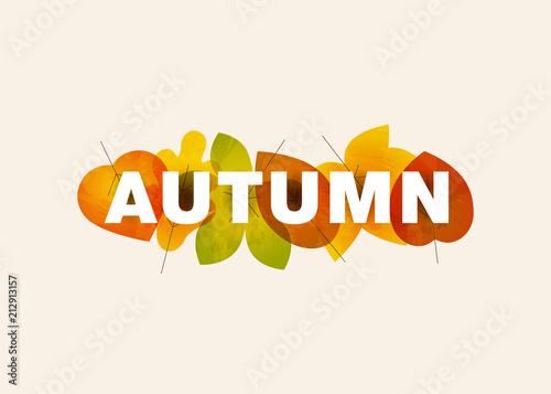 Autumn lettering illustration made from colorful leaves isolated on light background. Easy to use for print and web promotion.