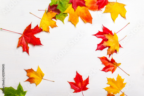 Colorful autumn leaves. Abstract fall background. Falling Marple leaves on white background..