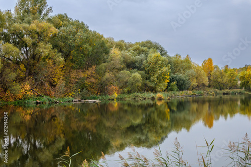 Принти на полотні Autumn on the shore of the lake