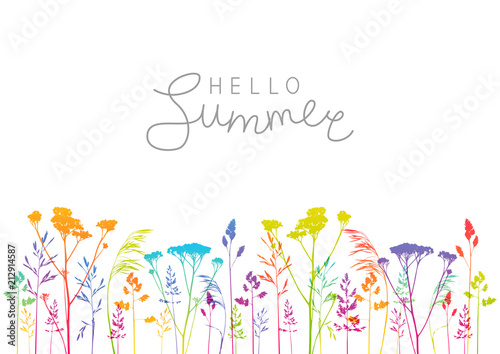 Summer background with rainbow herbal silhouettes