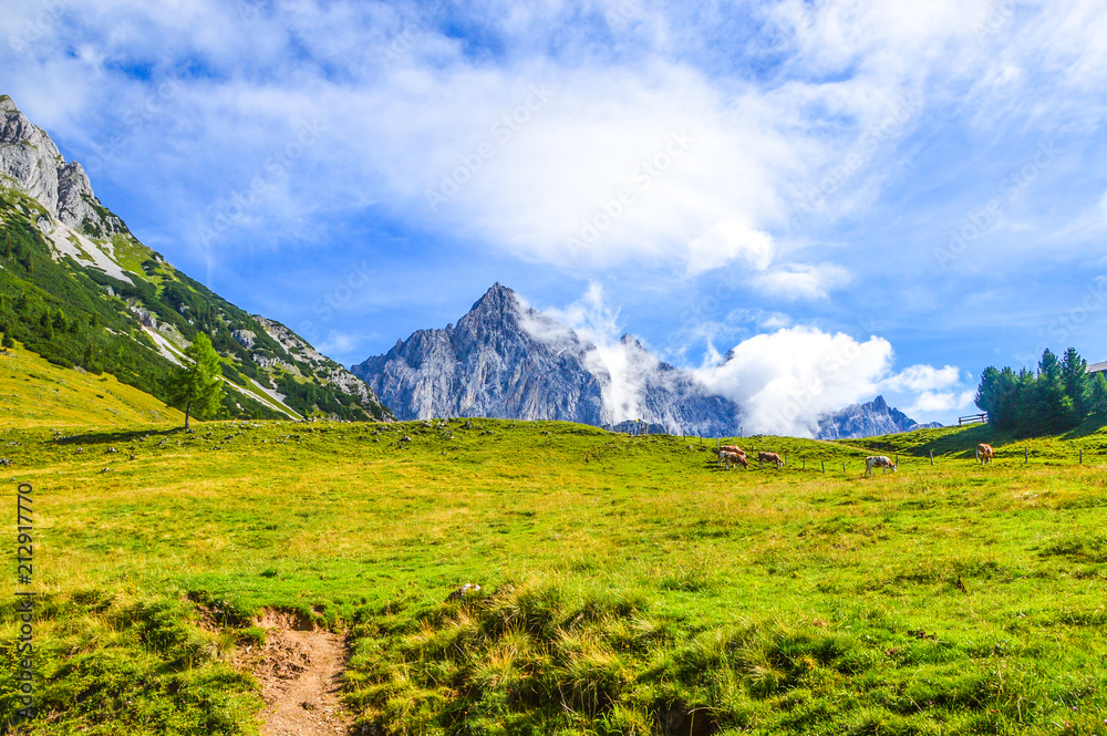 Obraz premium Hiking the Salzburger Almenweg in Austria from campsite to hut