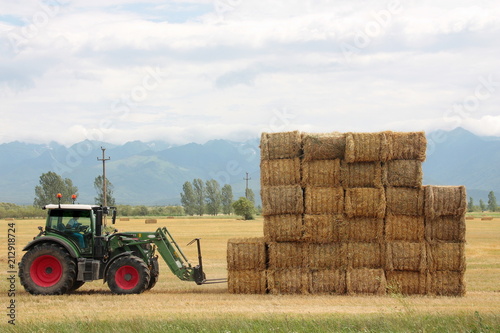 Hay tractor stacking hay bales on a big pile