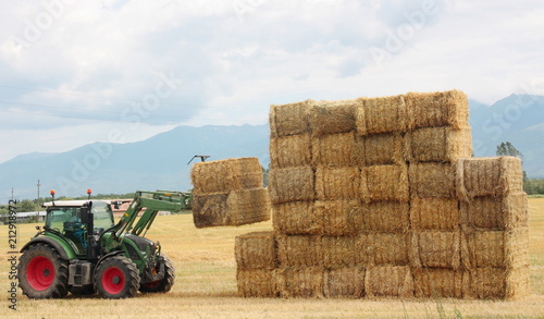 Hay tractor stacking hay bales on a big pile
