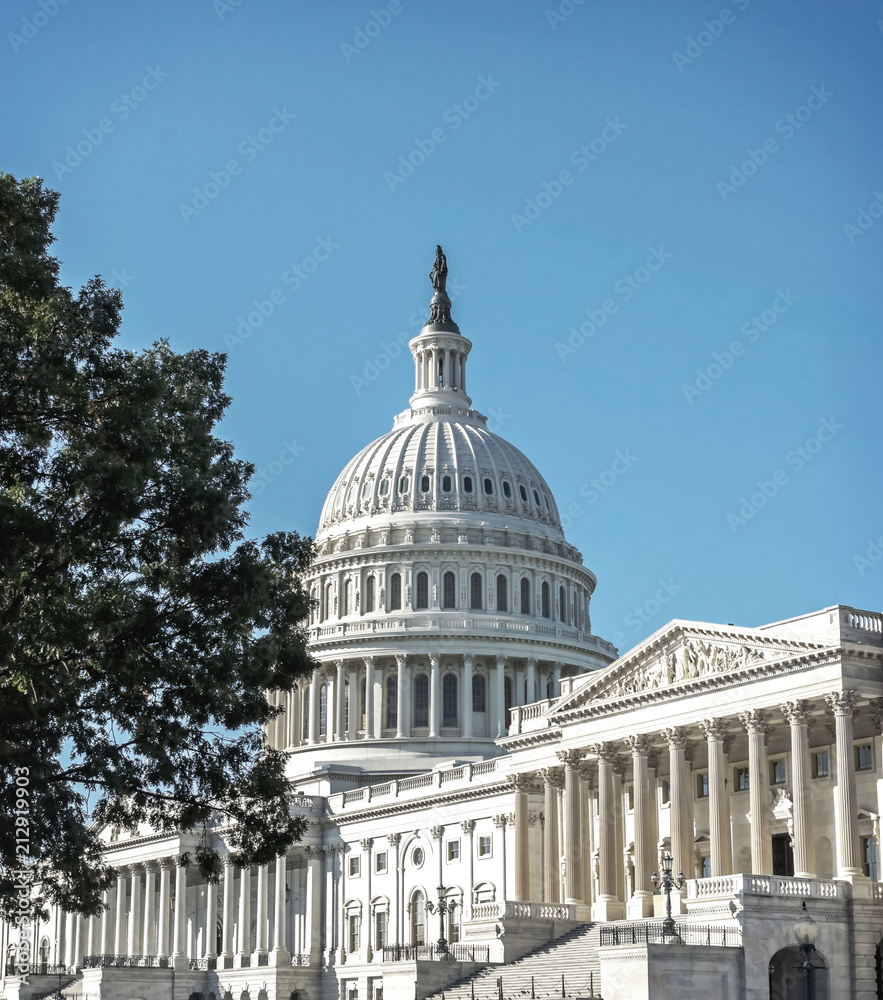 Naklejka premium Washington DC - US Capitol building