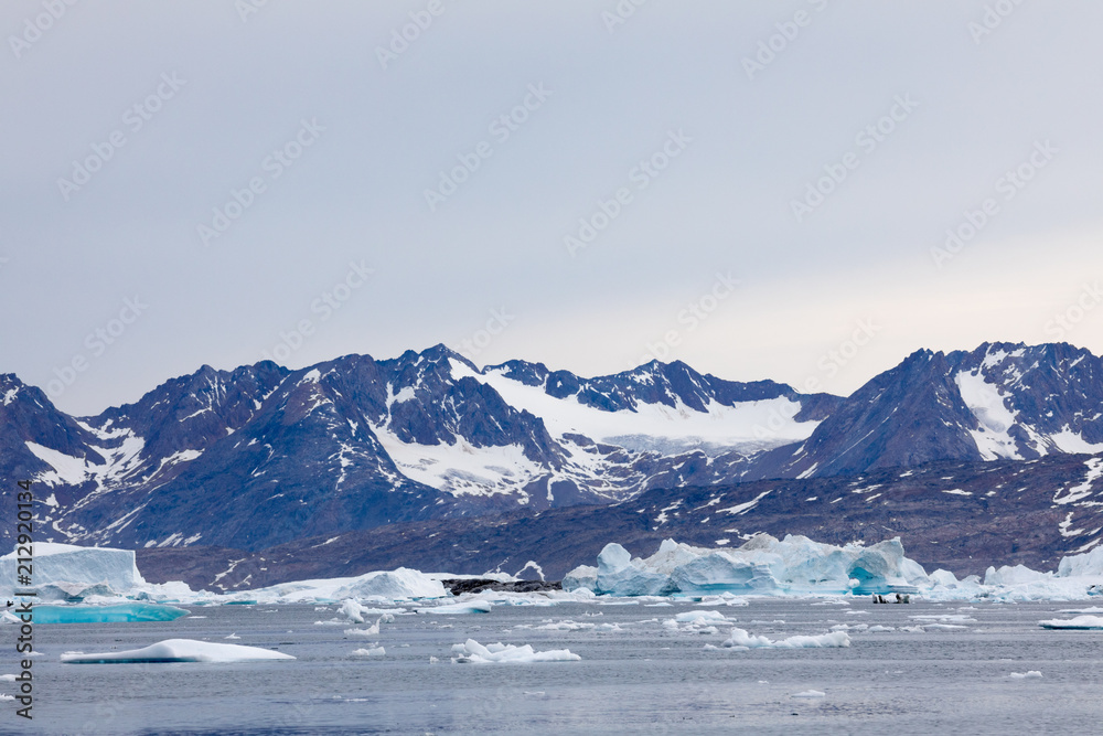 Die eisige Wildnis der Arktis - Grönland