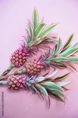 Pineappless flowers on pinl...