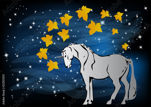 unicorn in the night