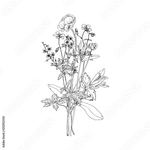 Vector bouquet with drawing wild plants