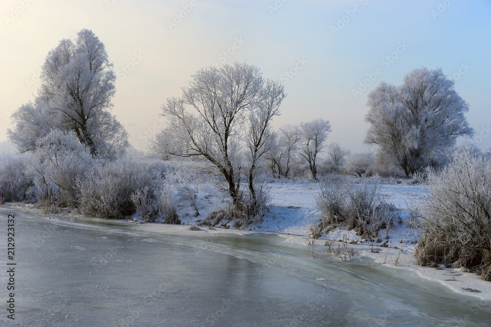 custom made wallpaper toronto digitalWinter landscape. Trees covered with hoarfrost on the bank of  river