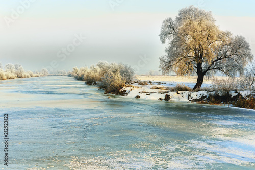 Winter landscape. Trees covered with hoarfrost on the bank of river photo