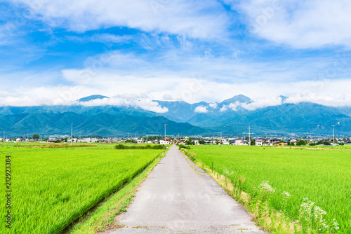 夏の信州 安曇野の田園風景