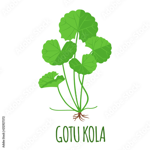 Gotu Kola icon in flat style isolated on white.