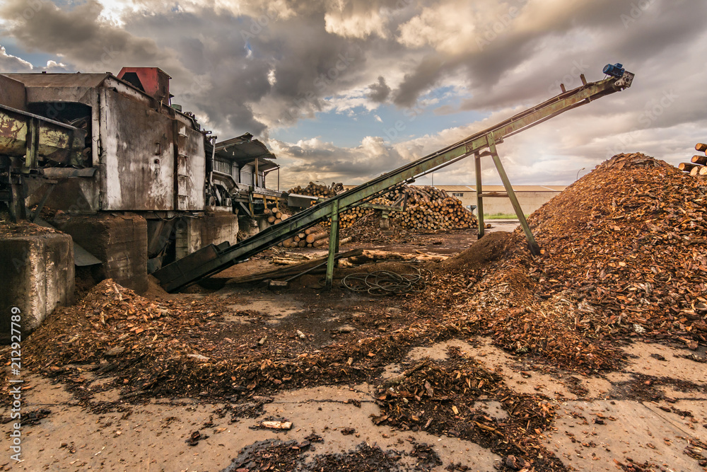 Transport of pine logs in a sawmill for processing and pellet processing Transport of pine logs in a sawmill for processing and pellet processing