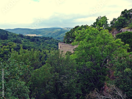 Burgruine in dichtem Laubwald photo