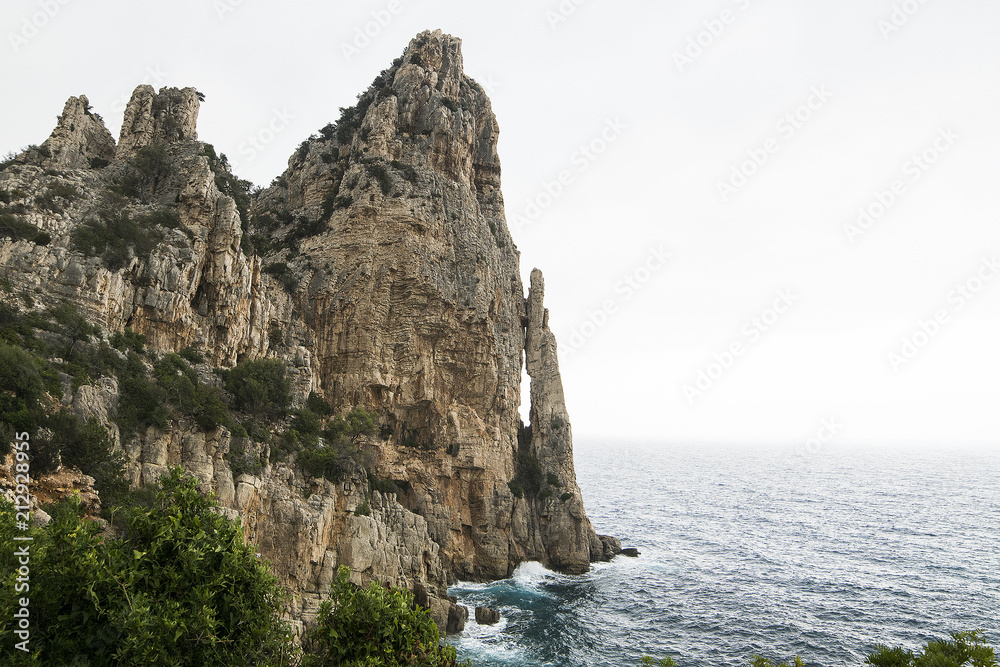 perda longa