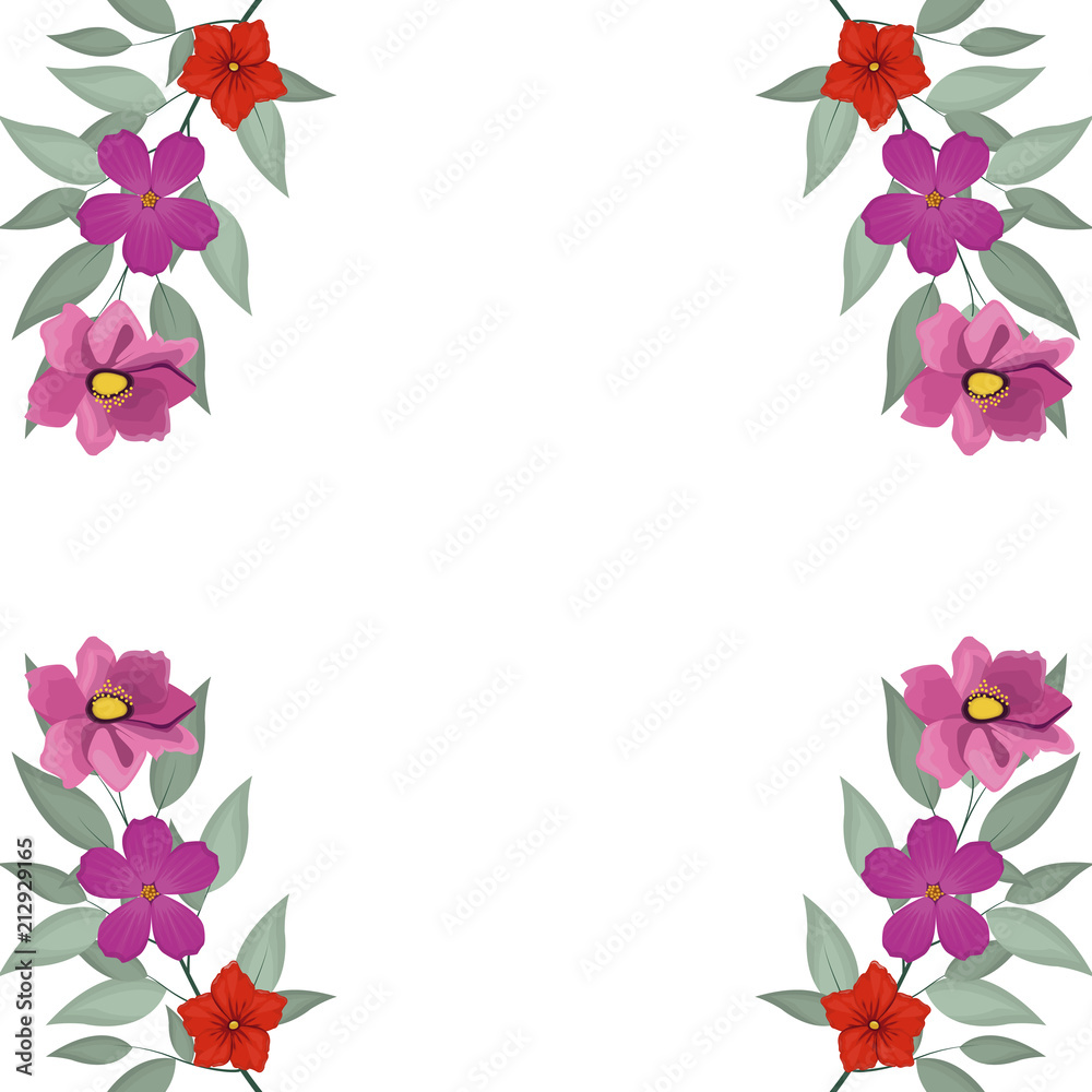 Decorative flowers square frame vector illustration graphic design