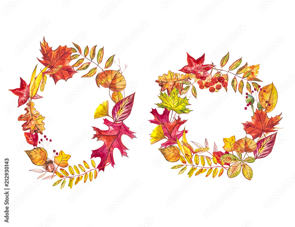Autumn composition. Wreath made of autumn berries and leaves on white background. Watercolor illustrations. Autumn composition. Wreath made of autumn berries and leaves on white background. Watercolor illustrations.