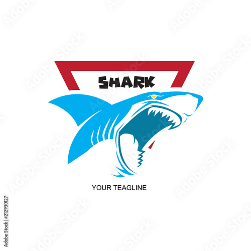 shark logo