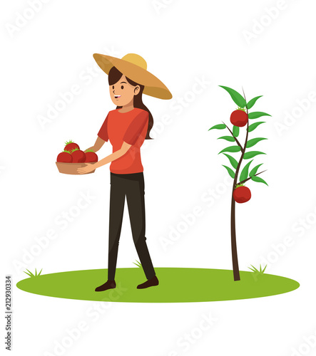 Young woman with tomato harvest vector illustration graphic design