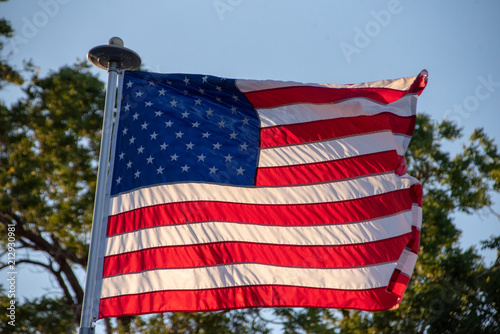 American Flag Unfurled 