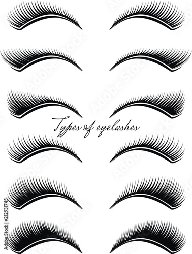Foto Set of black eyelashes of different types. Vector illustration.