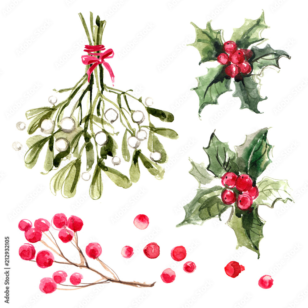 Mistletoe with red ribbon, holly branches with red berries. Christmas  ornaments from the branches painted with watercolors on white background.  Photos | Adobe Stock