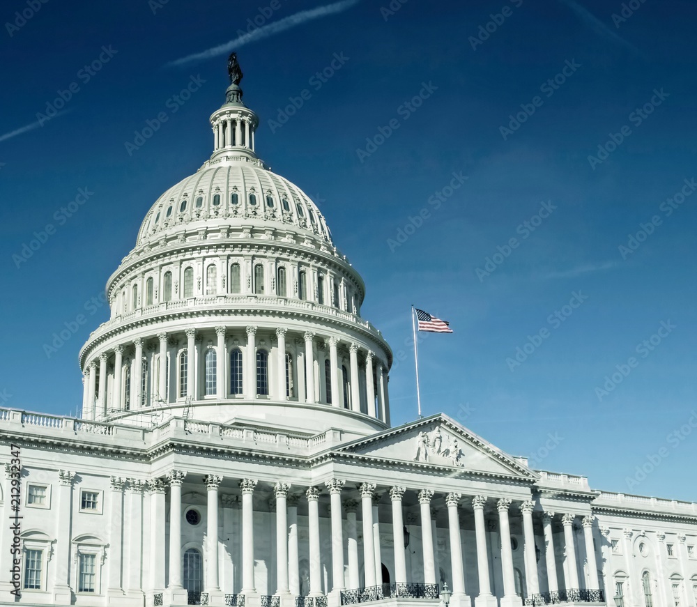 Naklejka premium Washington DC - US Capitol building