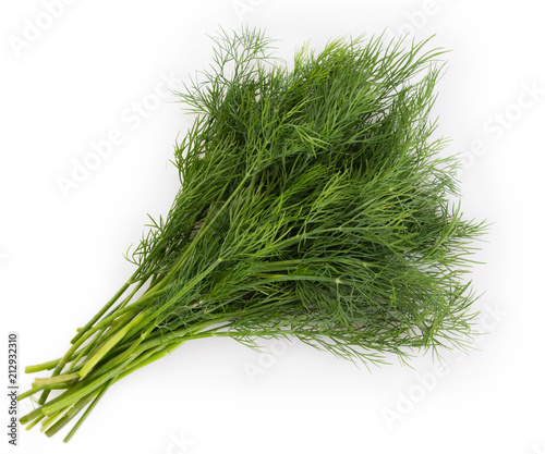 Fresh dill on white background