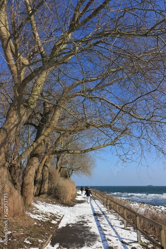 Spaziergang in Bülk an der malerischen Ostsee Küste im Winter © Lars Gieger