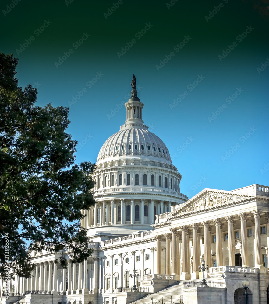 Fototapeta premium Washington DC - US Capitol building