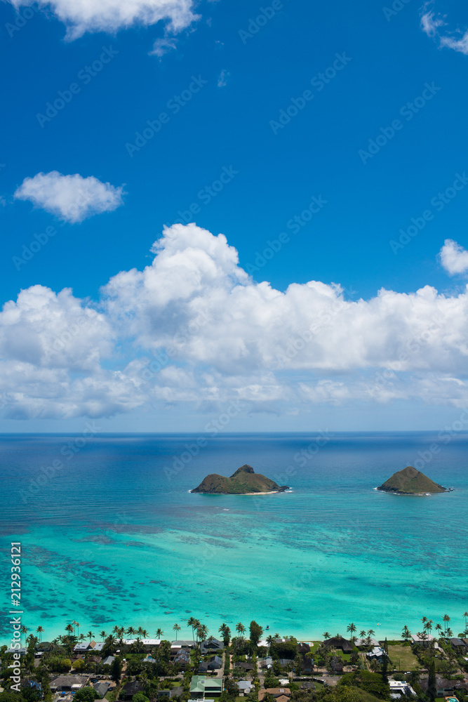 Fototapeta premium WALKING IN HAWAII