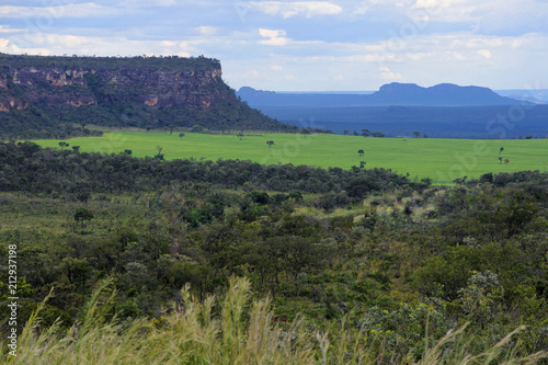 Cerrado forest and plateau 