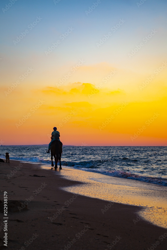 Woman on horse and dog Woman on horse and dog