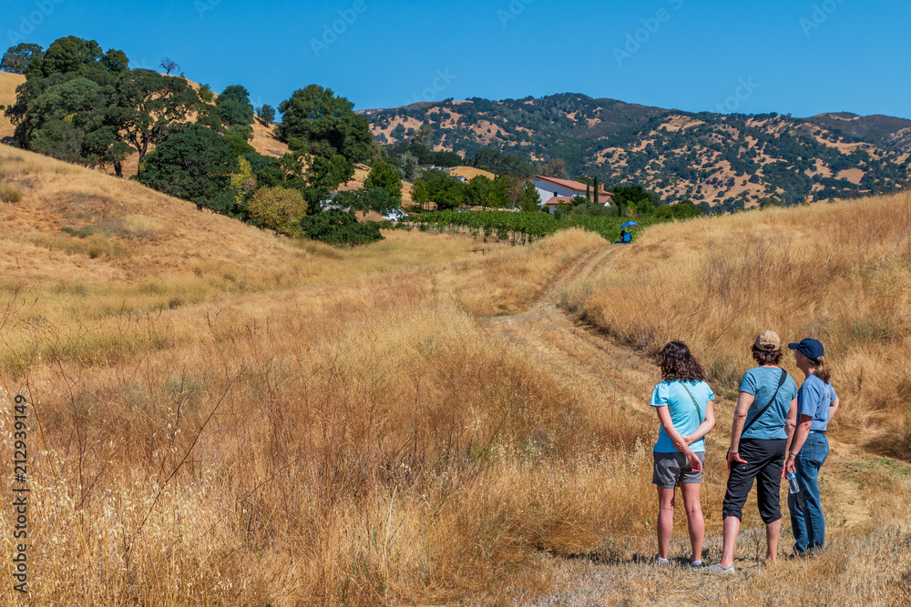 Three women are standing on a path in California's golden grasses. Hills rise up on each side of them. They primary wear blue colors. Tall trees and mountains and a blue sky are in the background.