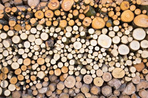 Neatly stacked full frame wood beams and branches background texture patterns.