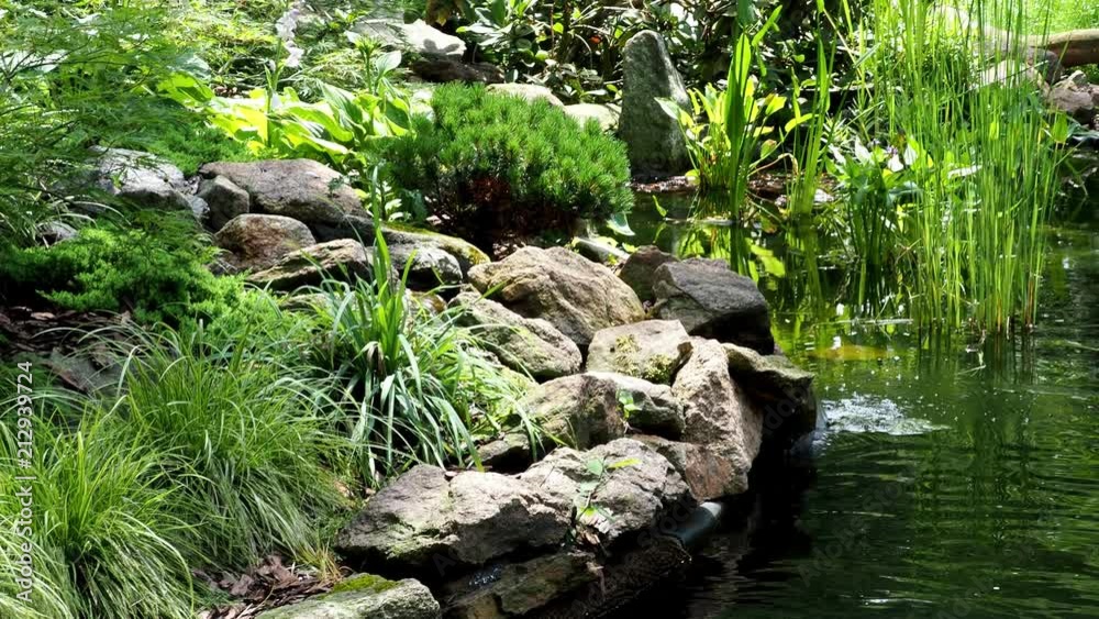 Garden waterfall. Garden pond with water flowers. Beautiful pond in a backyard surrounded with stone during.
Garden waterfall. Garden pond with water flowers. Beautiful pond in a backyard surrounded with stone during.