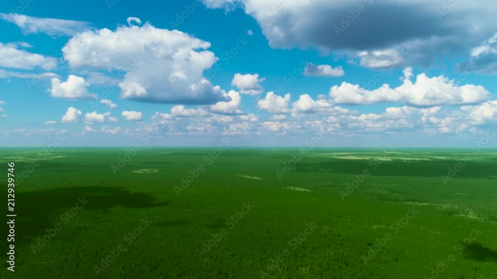 Time Lapse Blue sky fluffy clouds floating over forest Time Lapse Blue sky fluffy clouds floating over forest