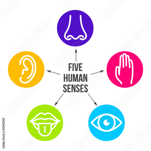 Creative vector illustration line icon set of five human senses. Vision, hearing, smell, touch, taste isolated on transparent background. Art design nose, eye, hand, ear, mouth with tongue element