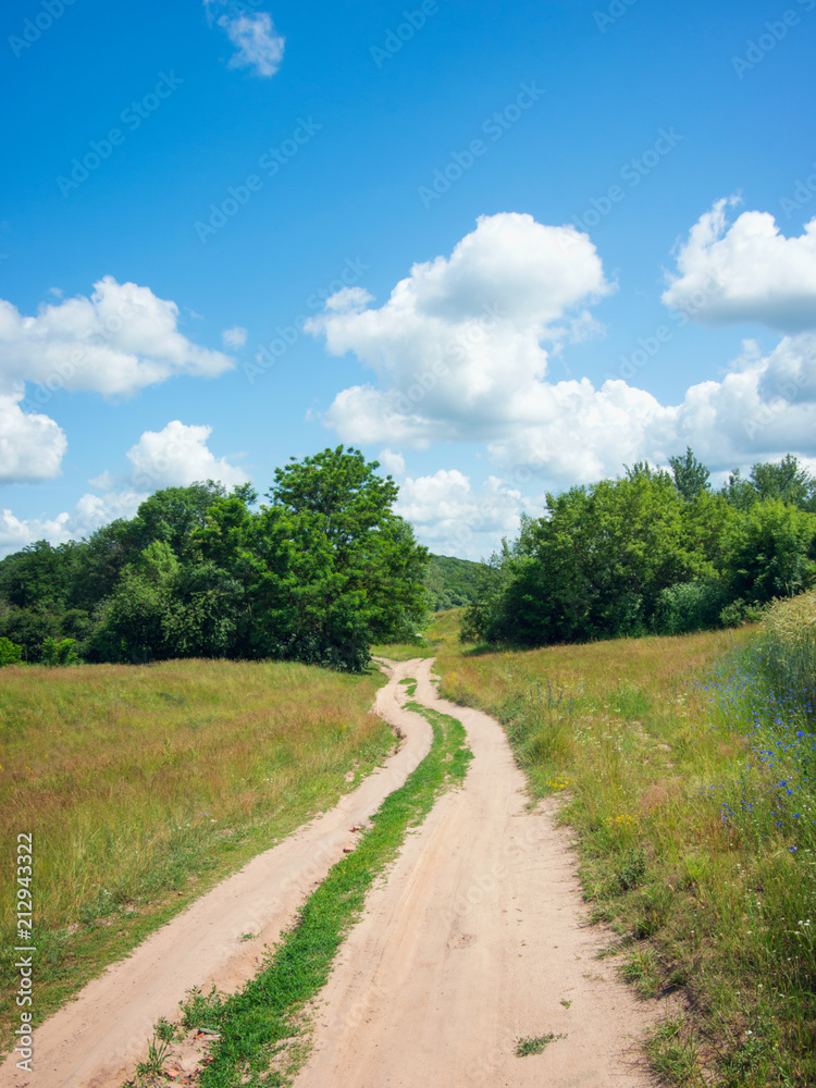 Country road in forest and sky
