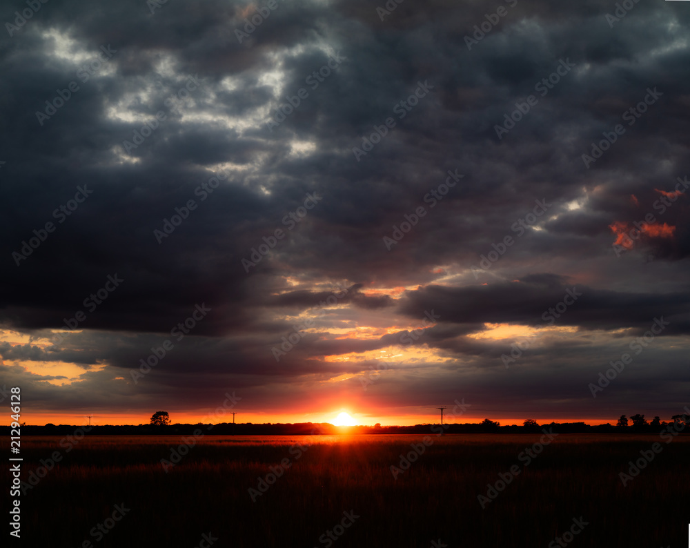 A view of the wheat fields in the Lincolnshire countryside at sunset