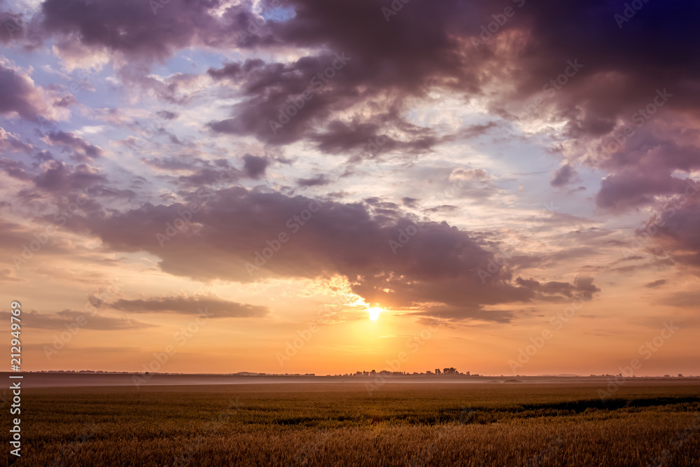 Summer landscape: sunset or sunrise in the open field. Dark clouds over the meadow during the sunset_ Summer landscape: sunset or sunrise in the open field. Dark clouds over the meadow during the sunset_