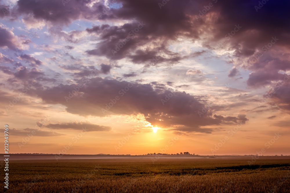 Summer landscape: sunset or sunrise in the open field. Dark clouds over the meadow during the sunset_