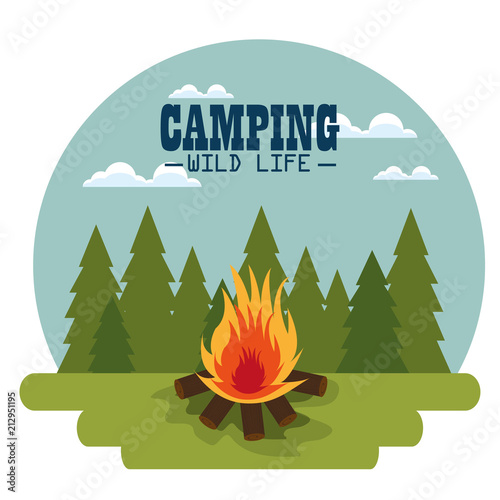 camping zone with campfire