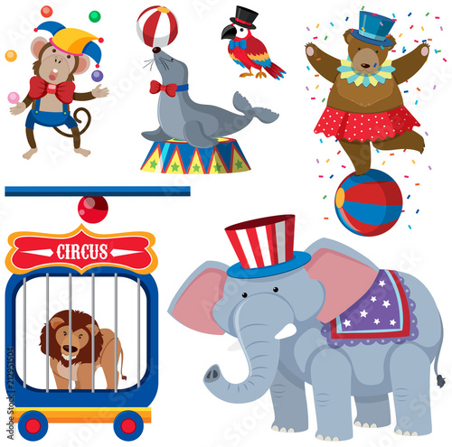 A Set of Circus Animals