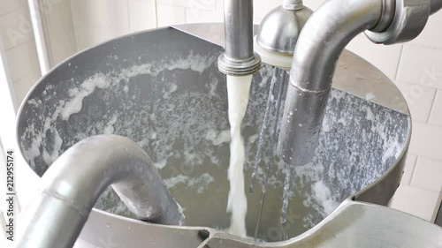 Process of cheese production in dairy factory, 4k Video Clip