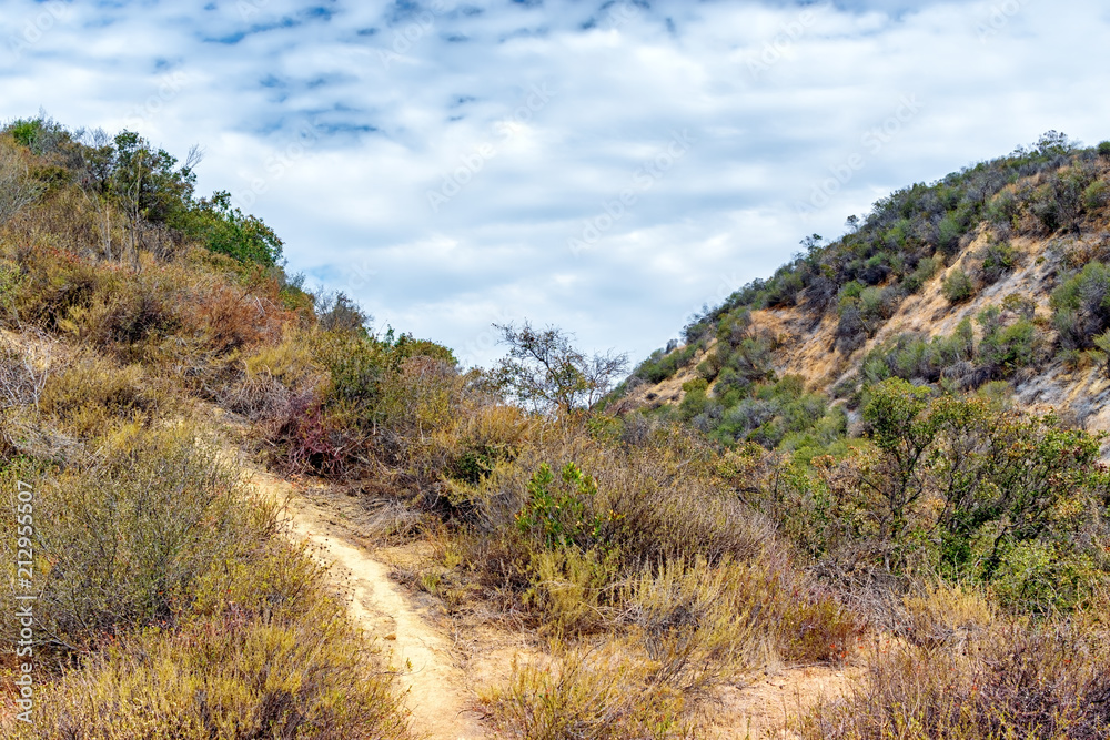 Trail leads hikers up the mountains into forest of Southern California on hot day