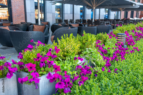 Luxury restaurant or cafe terrace with greenery and flowers located outdoors in a street  selective focus . 