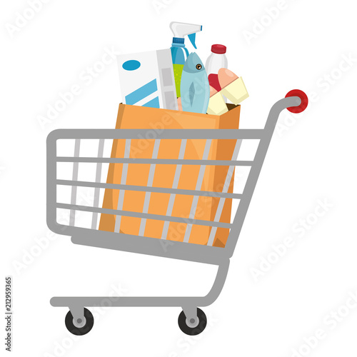 shopping cart with supermarket products